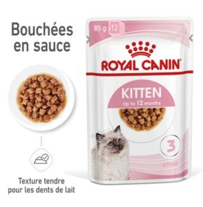 Royal Canin Kitten Sauce – Sachet fraîcheur pour chaton 85 G