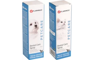 SPRAY HYGIÈNE DENTAIRE MENTHE - SPRAY
