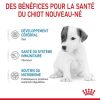 babydog-milk-fr-be-400-g.jpg