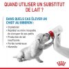 babydog-milk-fr-be-400g-1.jpg