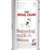 babydog-milk-image.jpg