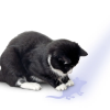 image_2023-10-18_165317874.png