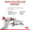 milk-2023-hero-image-babycat-milk-b1-cv2.png