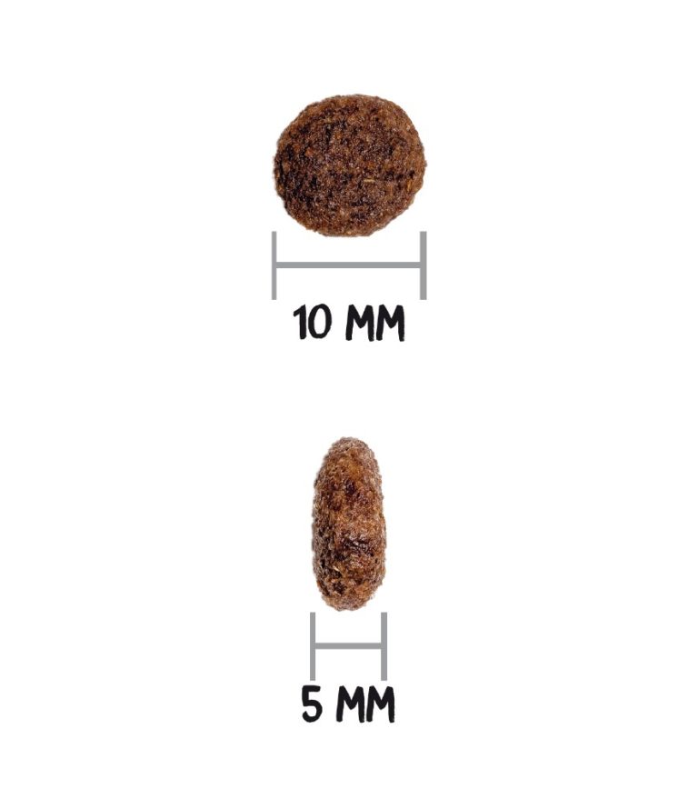 ow-classic-mini-adult-croquetaadl.jpg
