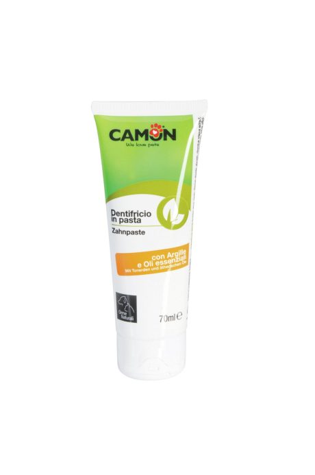 Dentifrice