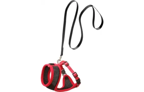 HARNAIS AVEC LAISSE  HARMS NOIR & ROUGE