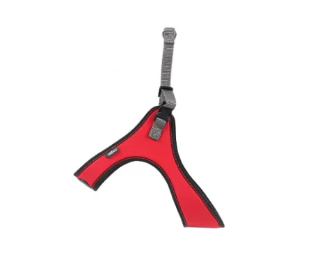 Harnais Spidy pour chiens de petite et moyenne taille
