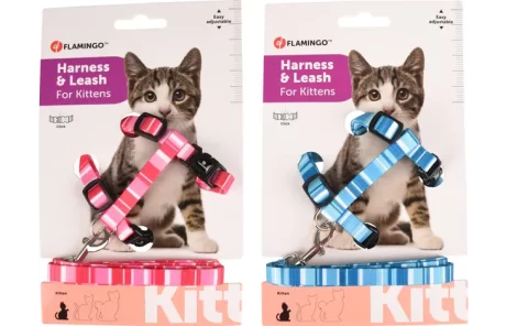 HARNAIS AVEC LAISSE CHATON ALFRY  rose /bleu