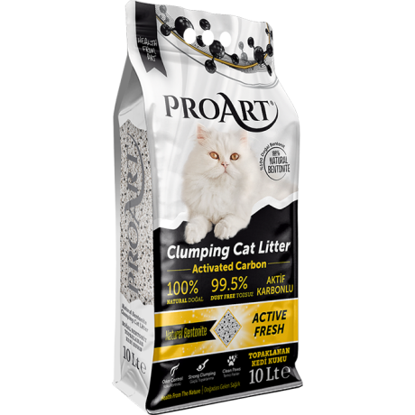 Litière ProArt Charbon actif