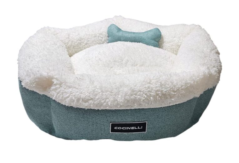 WhatsApp Image 2024-08-23 at 21.06.07