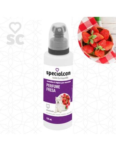 PARFUM SPECIALCAN FRAISE chat / chien