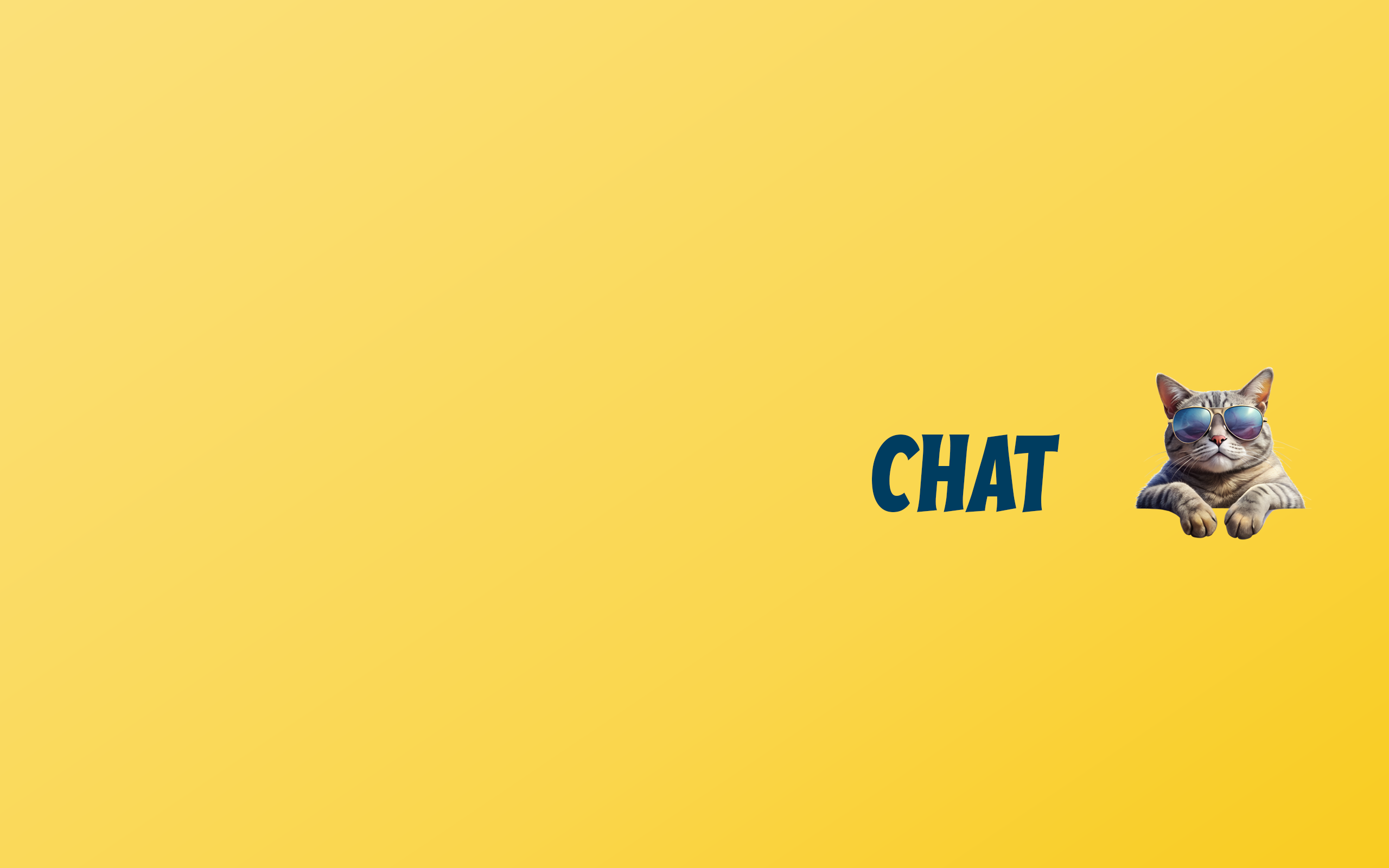 CHAT 3