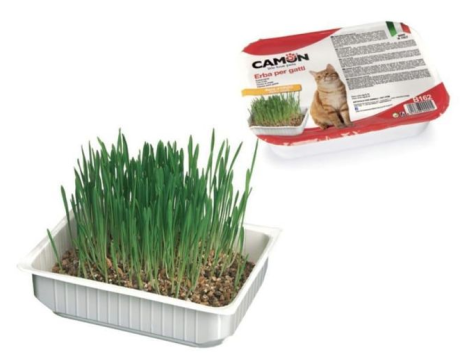 herbes à chats avec graines d’herbe d’orge naturelle 150g