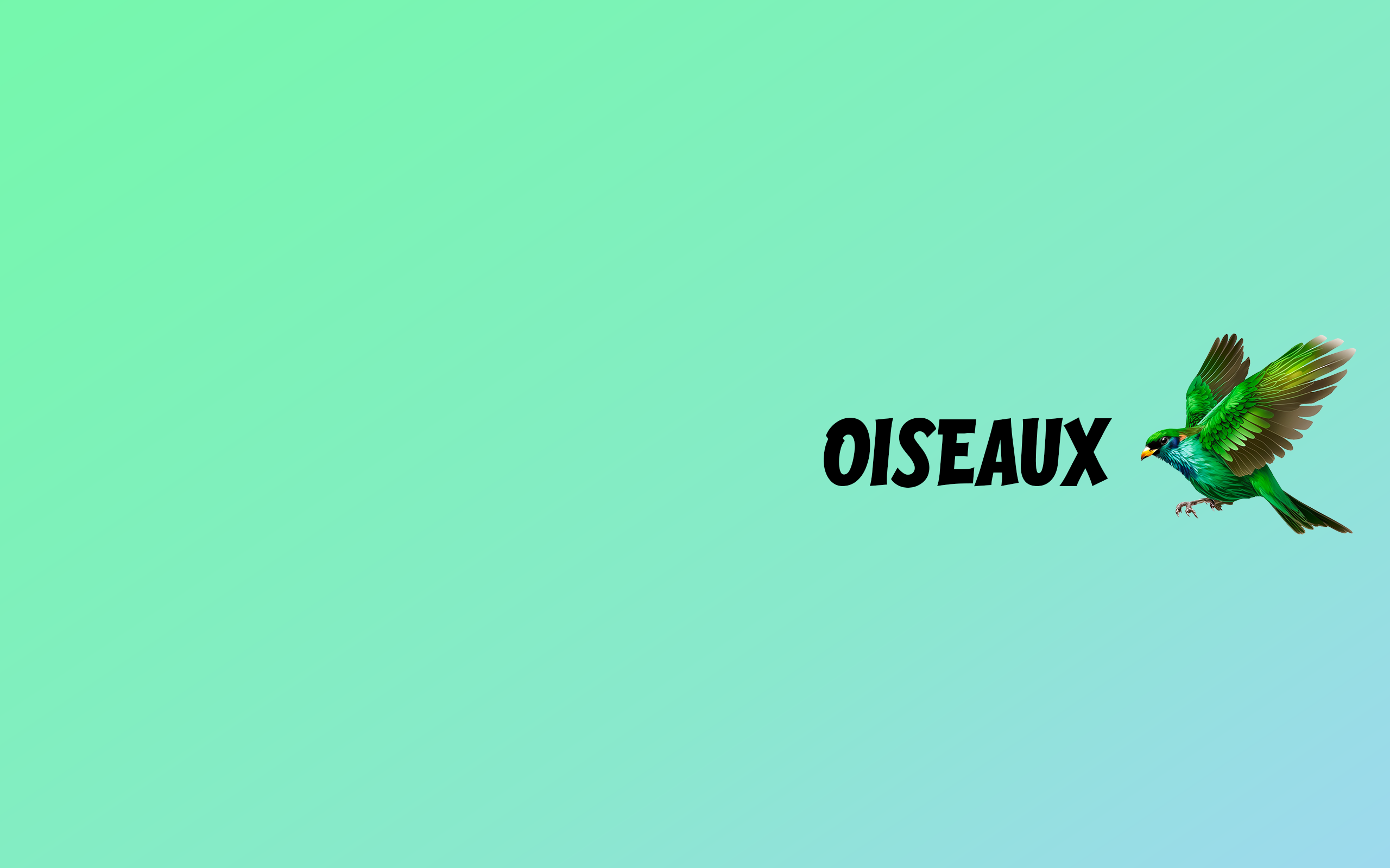 OISEAUX