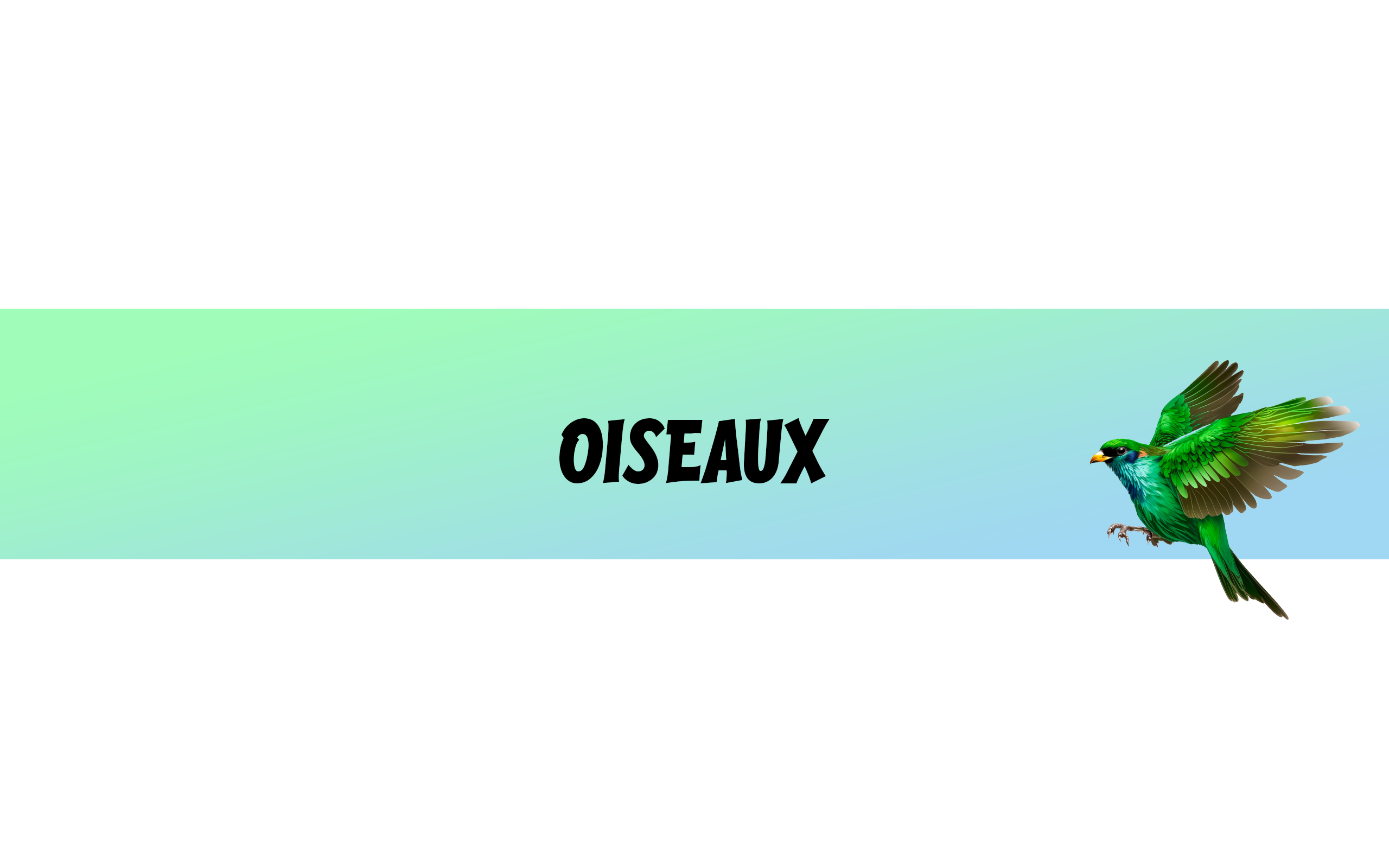 OISEAUX