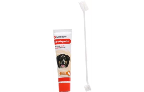 DENTIFRICE & BROSSE À DENTS DAFRA TUBE  SAVEUR POULET / MENTHE