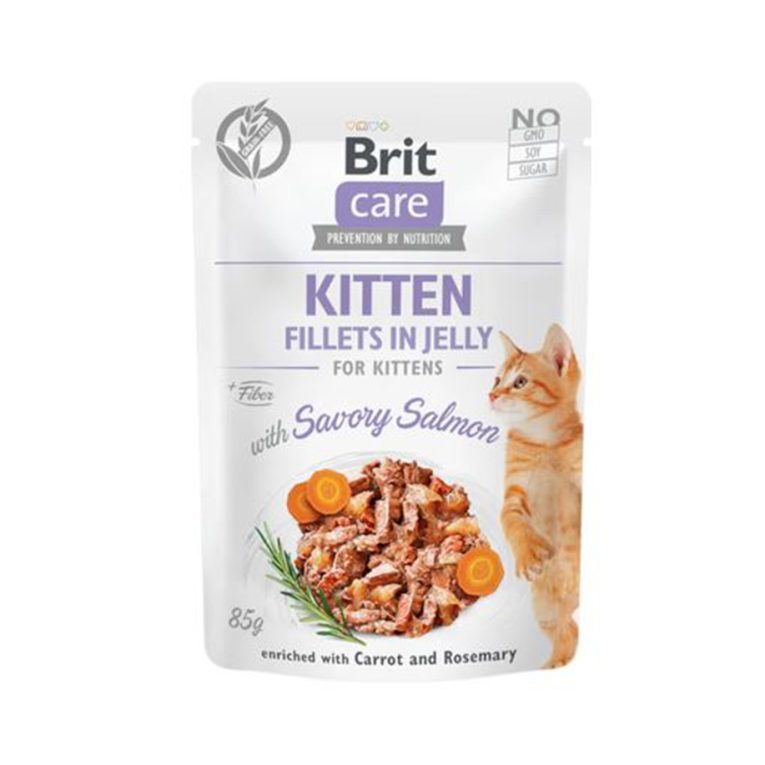 BRIT CHAT KITTEN SAVORY SALMON