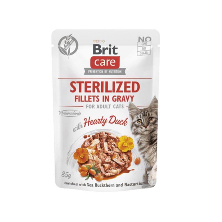 CHAT BRIT GRAVY HEARTY DUCK