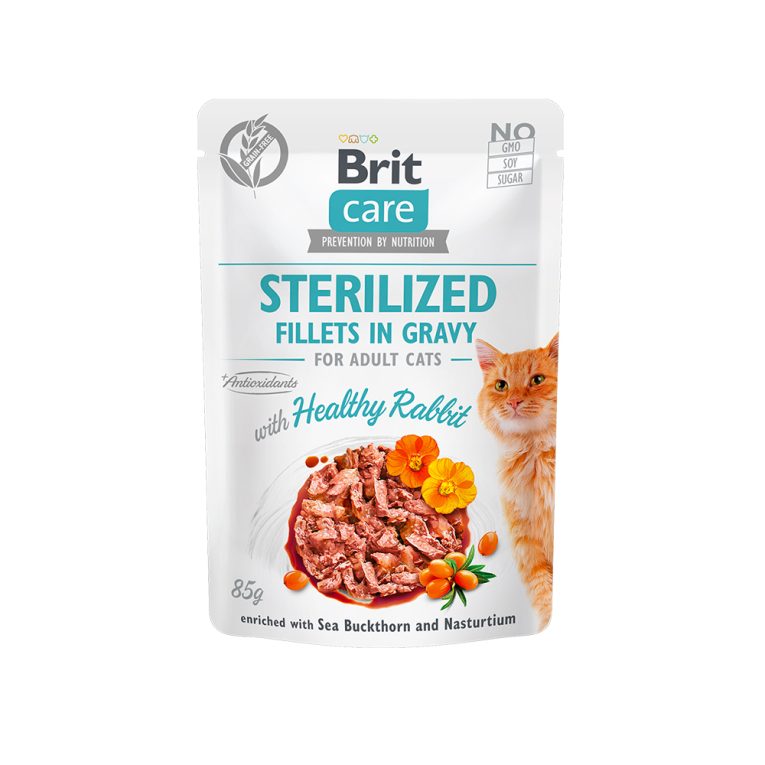 chat brit healthy rabbit