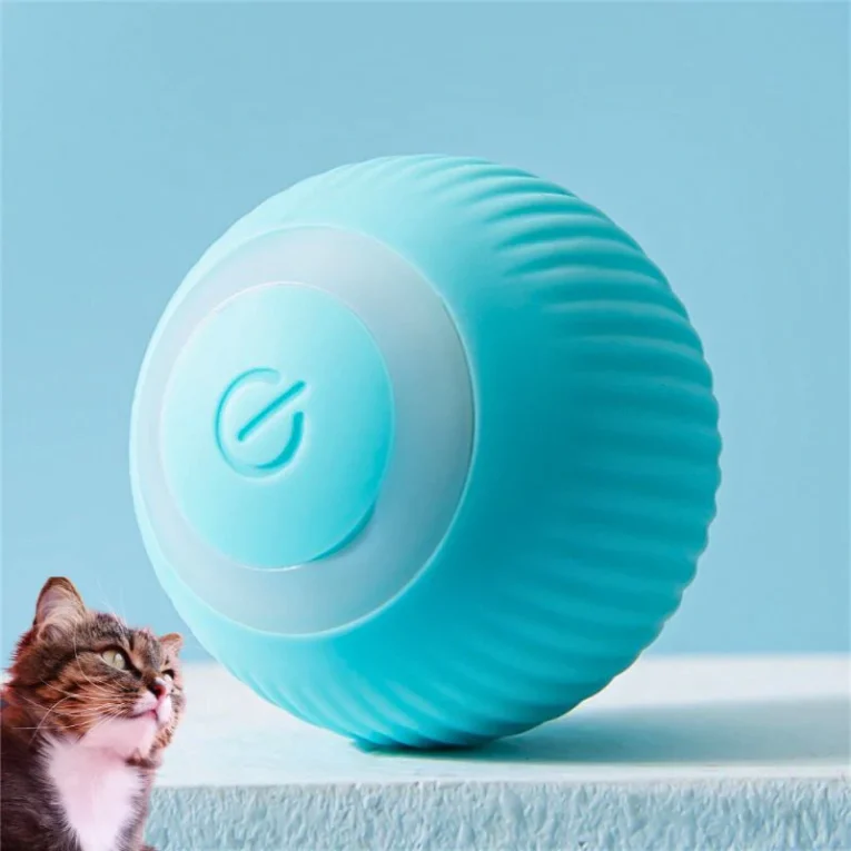 Jeuxpourchat1