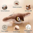interet_2b967cc1-2faf-4e8e-8ab8-84c7159b9e4c