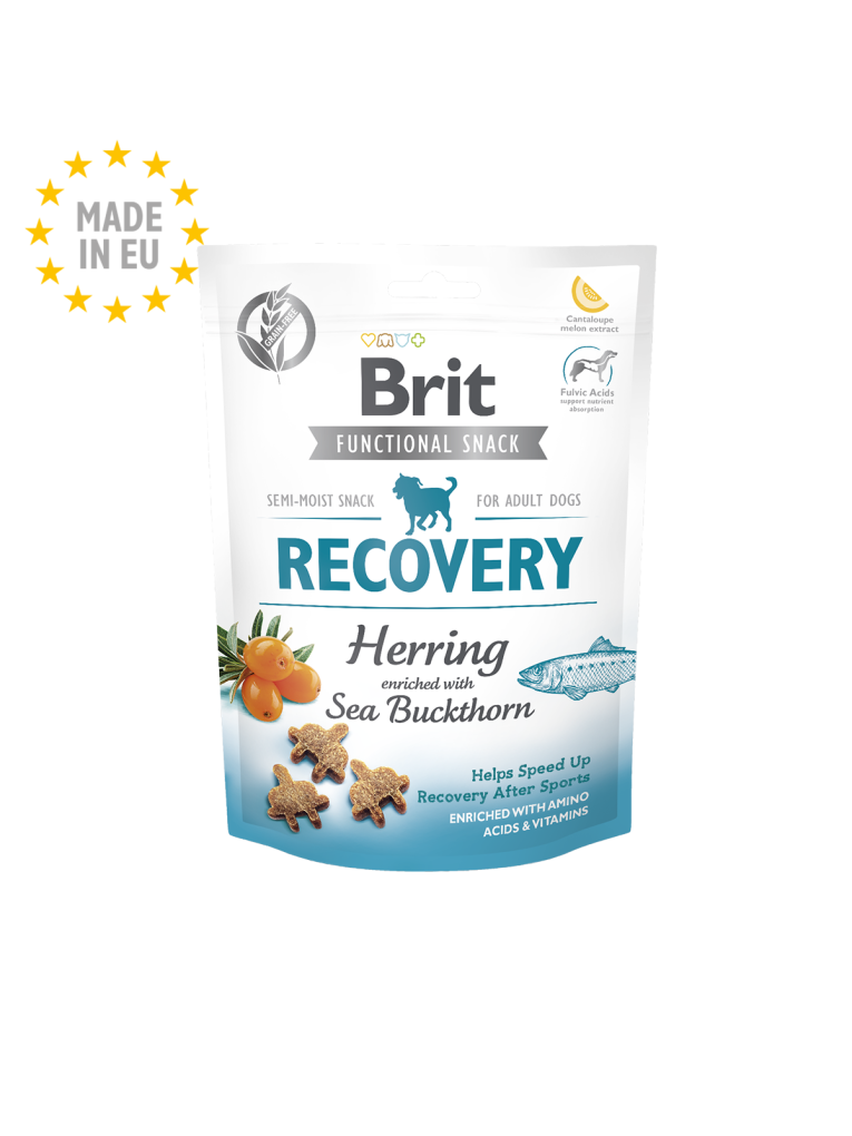 recovery
